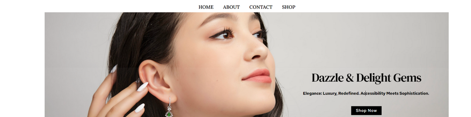 Affordable web-design projects  for small businesses